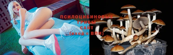 mdpv Грязи