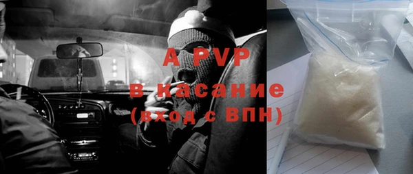 дживик Беломорск