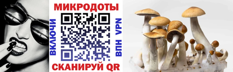 Галлюциногенные грибы GOLDEN TEACHER  Старица 